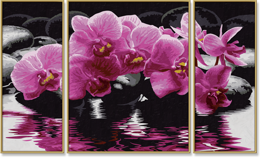 Orchidey (80 x 50 cm)