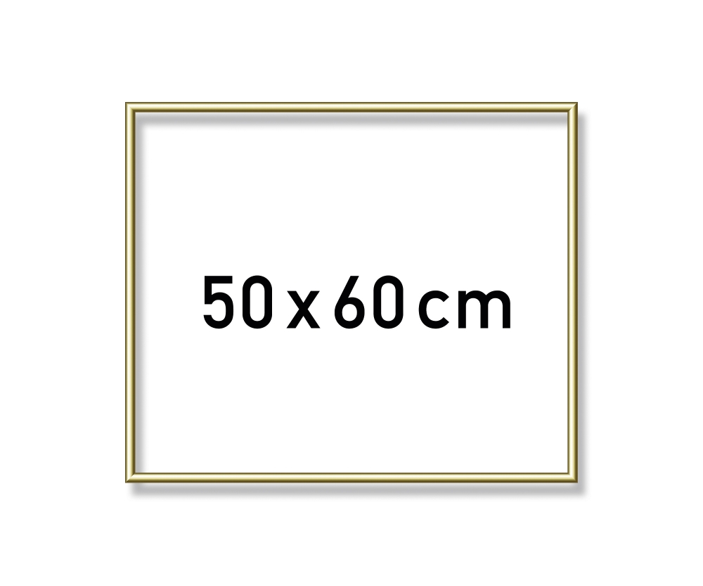 Hliníkový rám 50x60cm zlatý