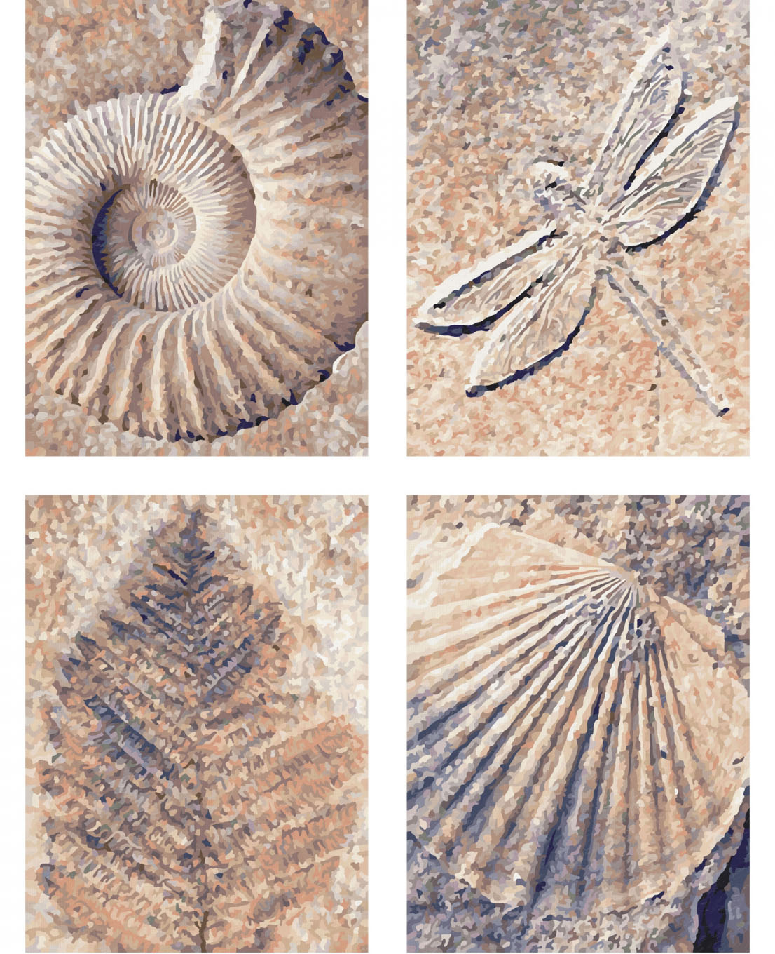 Fosílie (4 obrazy v balení 18 x 24 cm)